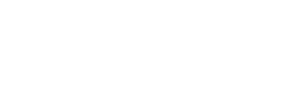 white logo of social impact organization solifin