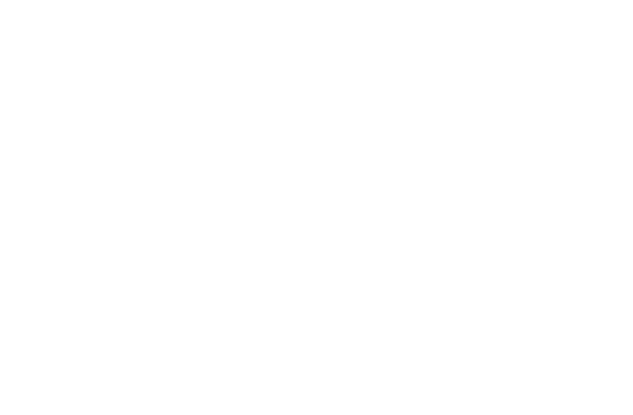 white logo of social impact organization stonesoup consulting