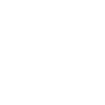 White logo of Mainlevel consulting